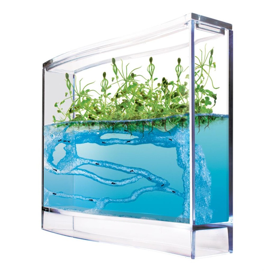 Rinkinys "Skruzdėlės"