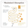 Liposominis Vit. C