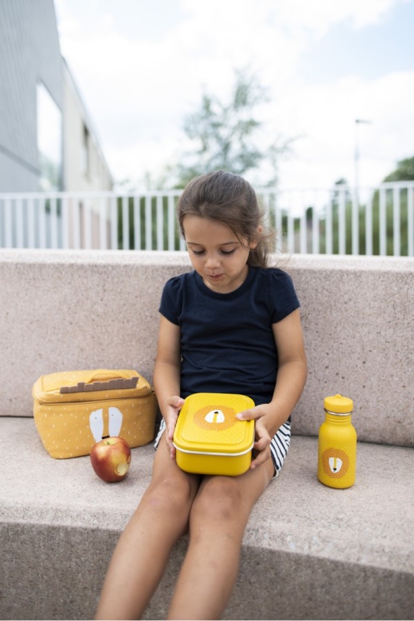 Metalinė dėžutė maistui Metalinė dėžutė maistui