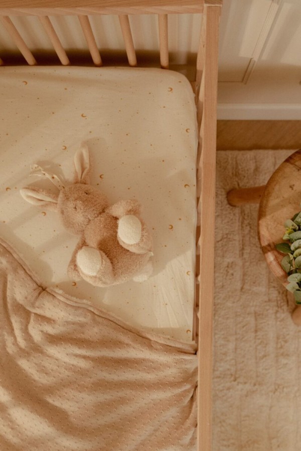 Pliušinis migdukas-lemputė Pliušinis migdukas-lemputė