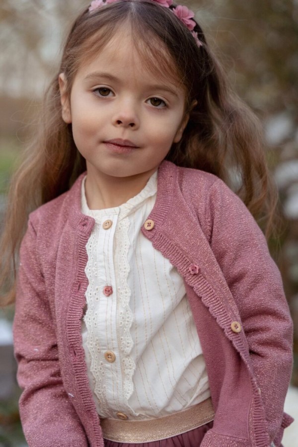 Plaukų aksesuaras Plaukų aksesuaras