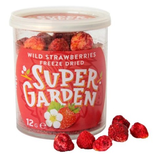 Freeze Dried Wild Strawberries