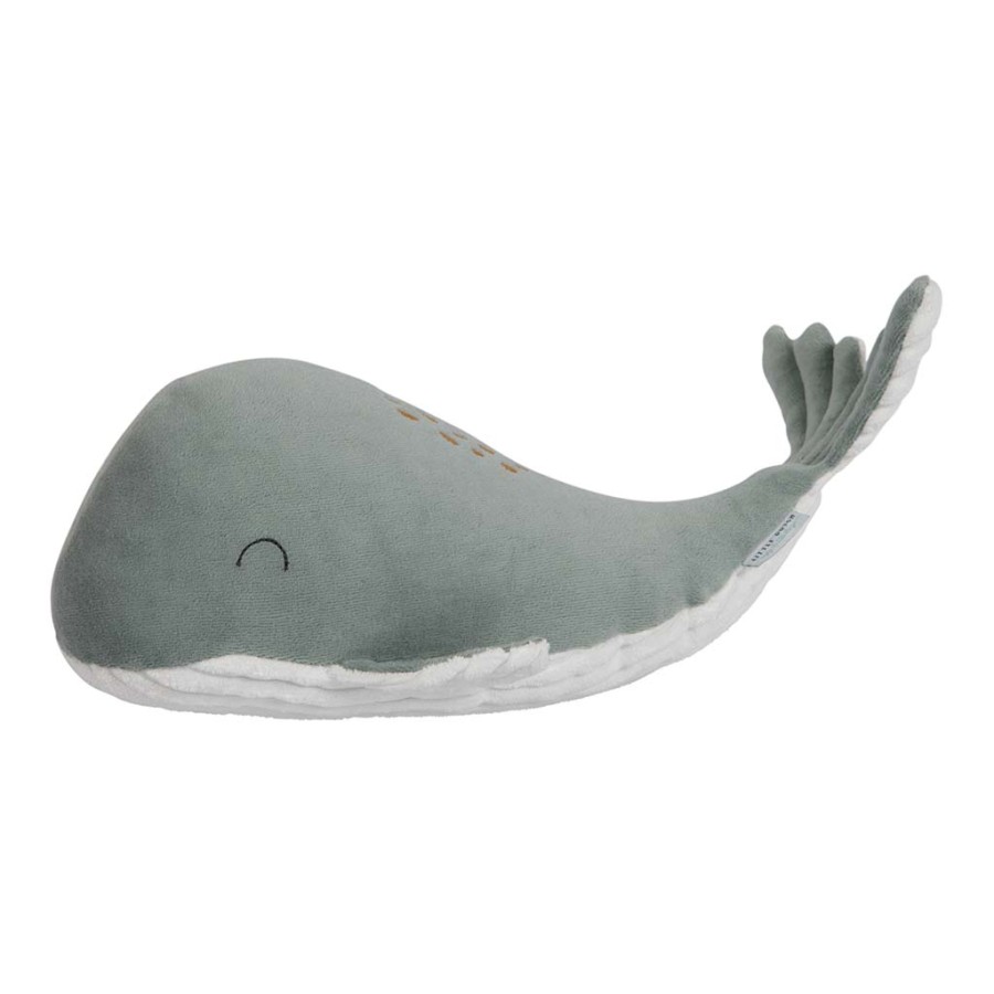 Pliušinis banginis 